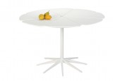 Tables Petal - Richard Schultz - 1960 - Knoll - LVC Design